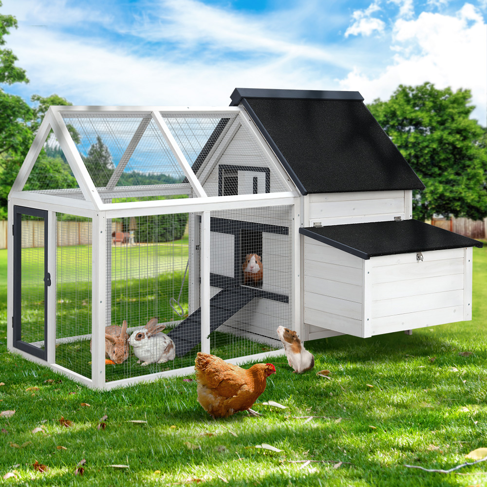i.Pet Large Chicken Coop Rabbit Hutch 166cm x 120cm x 112cm Wooden PET-CH-310026-WH-AB