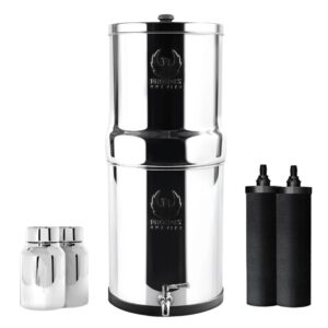 Phoenix Stainless Steel 6L with Fluoride & Smart Carbon Filter V502-P12C2D0