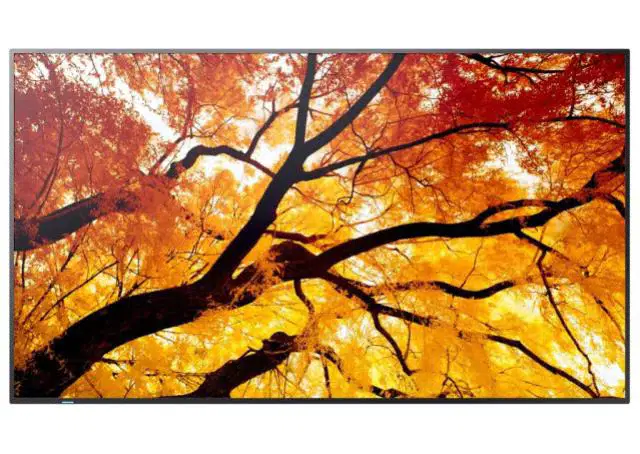 Sharp PN-M552 55" Large Commercial Display UHD